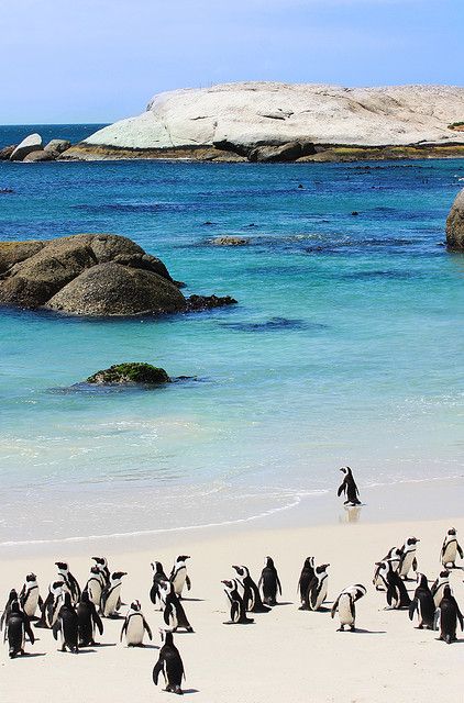 South Africa - 9 Days / 8 Nights - From 21 November To 29 November