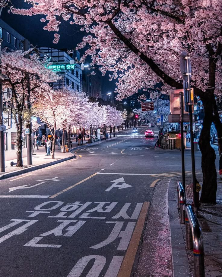 South Korea - 11 Days / 10 Nights - From 23 October To 3 November