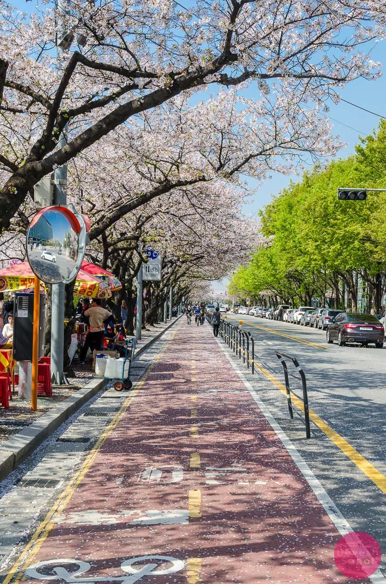 South Korea - 11 Days / 10 Nights - From 23 October To 3 November