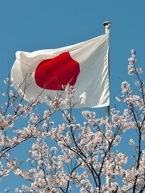 🇯🇵 Japan – 8 Days / 7 Nights – Tokyo & Osaka Adventure Package